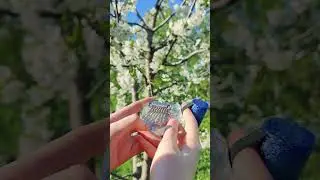 What if we rewrite the stars? ✨ on 8 key kalimba | mini cute acrylic Kalimba cover