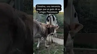 Catalina y Francesca HERMANAS 😍