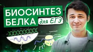 Сложная тема. Биосинтез белка для ЕГЭ | Биология ЕГЭ с Мишей Гис | 2025 | СМИТАП