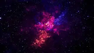 terraria STREAM