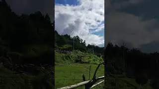 Greenery everywhere 🇳🇵🏔️🥾| Village Adventure