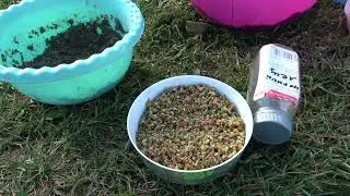 Рыбалка. Рыжики и карась, 1:0 в пользу рыжиков.