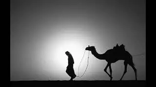 arabic drill beat | C# | #drill #jersey #ukdrill #uk #rudrill #beat #typebeat #flstudio #music #arab
