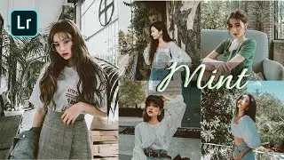 Mint Preset - Lightroom Mobile Presets DNG | Mint Lightroom Preset