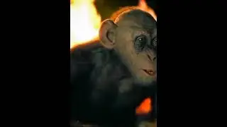 Скоро 8 марта 😅