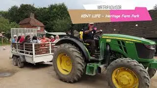 Kent Life Heritage Farm Real Tractor Ride. Museum of Kent Life