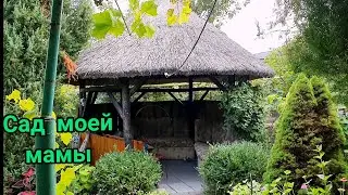 В гостях у родителей!!!) Мамин сад!) Это просто - РАЙ!!!🥰🥰🥰