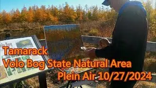 Tamarack - Volo Bog State Natural Area - Plein Air 10 /27/2024