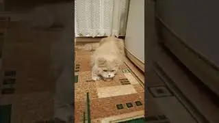 Скандал от Фили. А что это ты мне тут нервы какие-то устраиваешь...