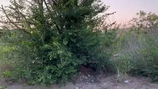 Иногда Идешь и думаешь как можно это не любить ,