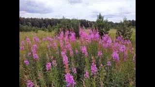 В Опарин 