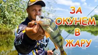 Perch EAT bait, TEAR claws, BEND spinning rod. Fishing for PERCH with MICROJIG
