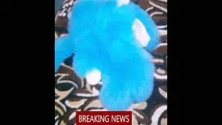 Один школьник купил кролика за 5 000 000 РУБЛЕЙ