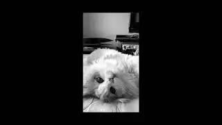 #ASMR