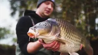 Rebelcell x Pearl Baitboats collab
