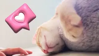 Primeiro Vídeo da Antonella Filmando