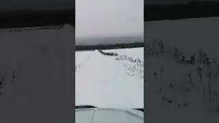 Скука развеется! Нужно только немного...