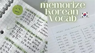 🇰🇷 How I learn Korean vocabulary