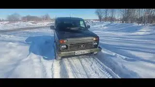 Niva