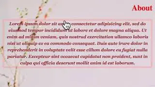 047 Text and Font