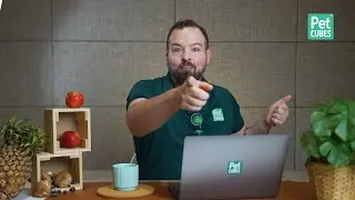 FAQ with a Wildlife Nutritionist Part 2 | Commonly asked questions about your pets' nutrition!