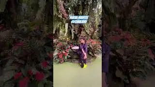 Purva Mantri - what a wonderful world ❤️🌸 #purvamantrilive #purvamantri #purvastic