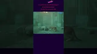 Капец музло пошло!!! 🅿➤ 