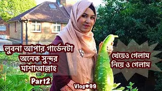 লুবনা আপার গার্ডেনটা অনেক সুন্দর মাশাআল্লাহ॥অনেক কিছু খেয়েছি সঙ্গে নিয়েও এসেছি॥ Vlog#99