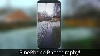 Taking Photos on the PinePhone - PinePhone Camera Review