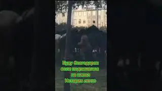 Как Португалия стала республикой?