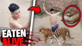 These 3 People Were EATEN ALIVE After Jumping On Deadly Predators!