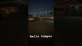 Hello Camper отдых в лесу.