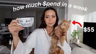 How much I spend in a week (21 y/o & moved out)