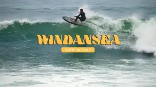 Surfing Windansea Beach In September | La Jolla, CA