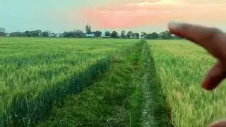 सूरज को लेकर मुझसे मेरी बेटी का सवाल, इस सवाल का आप क्या जवाब देंगे???...