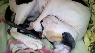 :з