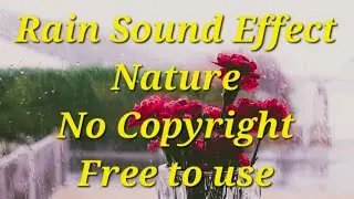 nature rain sound effect free to use no copyright for montage and editing