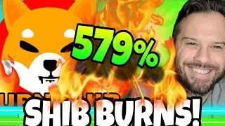 Shiba Inu Coin | The SHIB Burn Rate Explodes Higher!