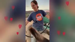 First Attempt at Riding the Donkey!