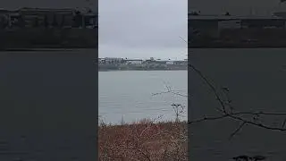 Bulgaria 🇧🇬