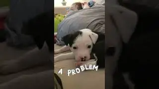 i just found this sound on capcut lol