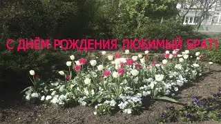 С ДНЁМ РОЖДЕНИЯ ЛЮБИМЫЙ БРАТ!