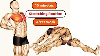 7 Ultimate After-Work Stretching Routine | Relieve Stress and Improve Flexibility