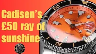 Cadisen C8220 Review- a ray of light