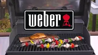 R WeberH 30 1121 1