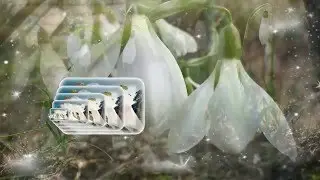 Всё стало вокруг голубым и зелёным