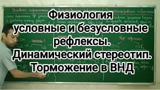 Физиология ВНД: условных и безусловных рефлексов. Динамический стереотип. Торможение в ВНД