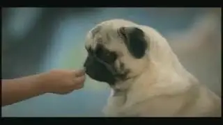 Everyday I Want To Fly ♫♫- Vodafone Ad | Cutest Ad Ever