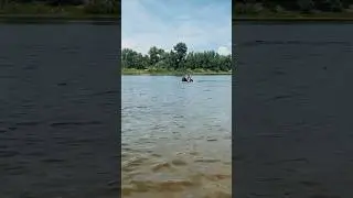 Купание с лошадьми в 10 часовой походной программе для опытных всадников 🌊 Волгоград