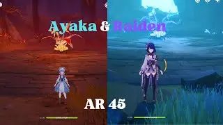 MY DAMAGE IN AYAKA AND RAIDEN SHOGUN AS A BEGINNER GENSHIN IMPACT | EDIT